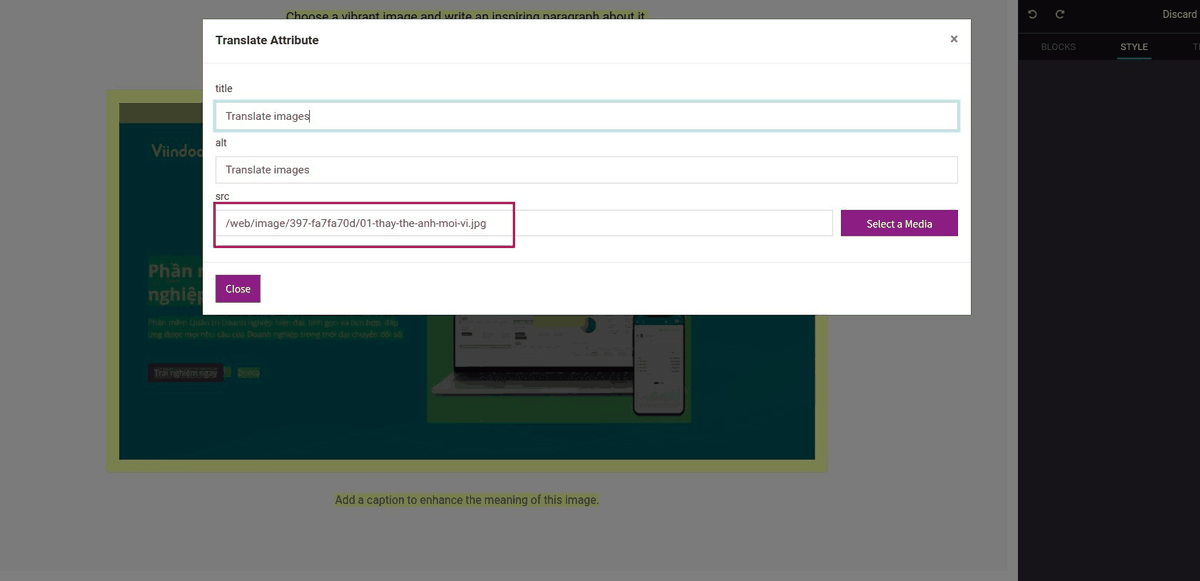 Website Media Translator