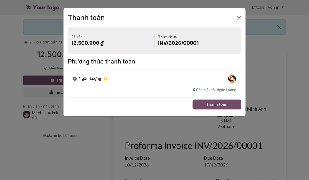 Ngan Luong Payment Provider