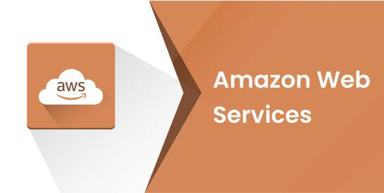 Amazon Web Service