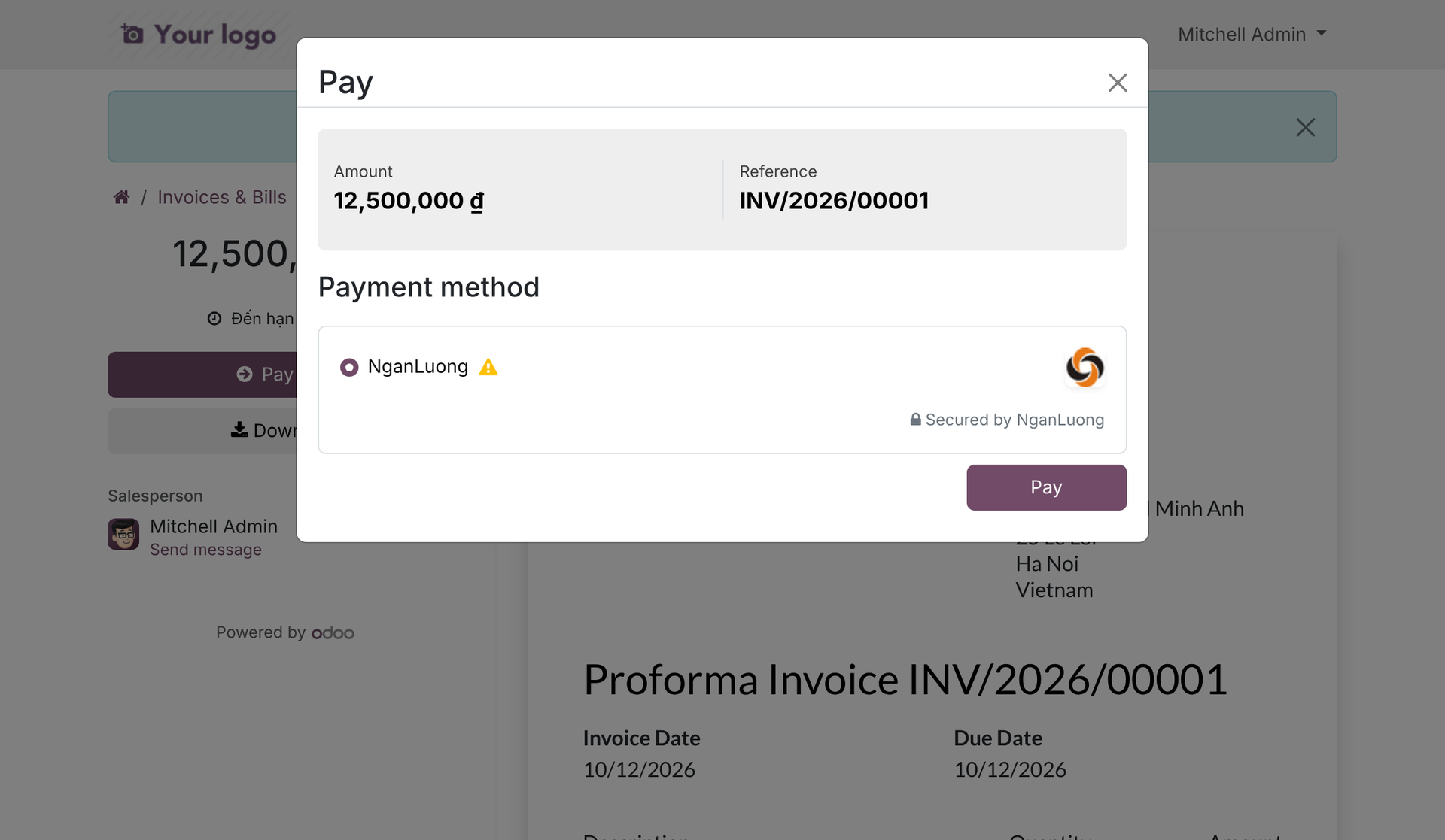 Ngan Luong Payment Provider