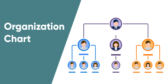 Org Chart