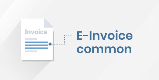 Thông tin chung của hóa đơn điện tử