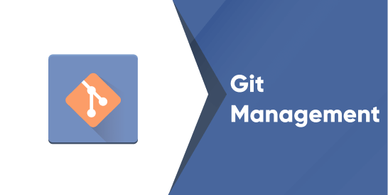 Git Management