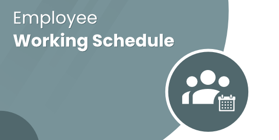 Employee Working Schedule