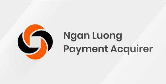 Ngan Luong Payment Provider