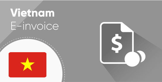 VietNam E-Invoice Common