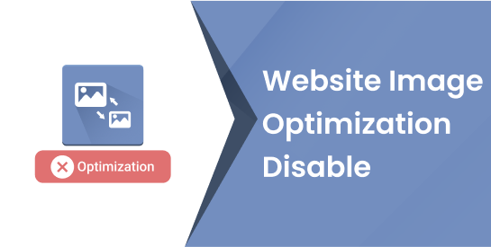 Website Image Optimization Disable