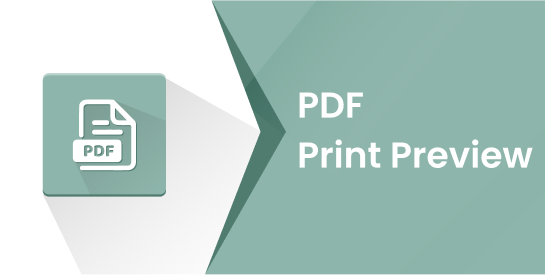 PDF Print Preview